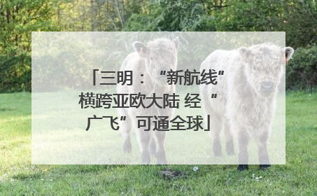 三明：“新航线”横跨亚欧大陆 经“广飞”可通全球